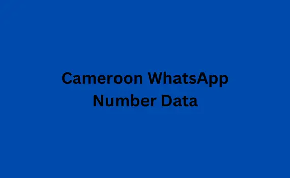 Cameroon WhatsApp number data