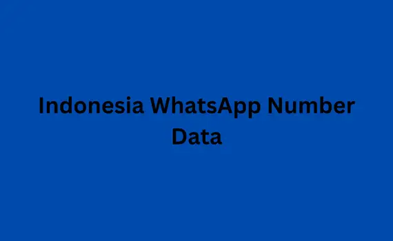 Indonesia WhatsApp number data